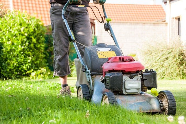 aberdeen gardening service